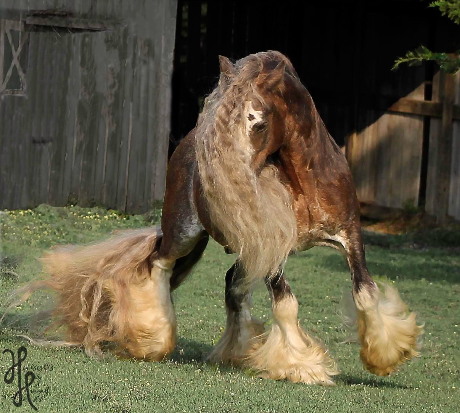 Silver Bullet - Hair flying in all directions